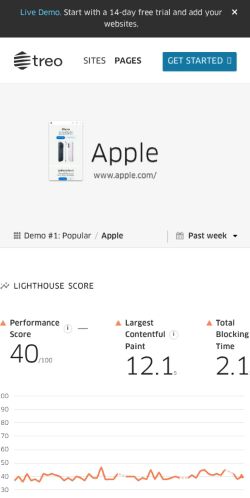 1.2 Page Report preview