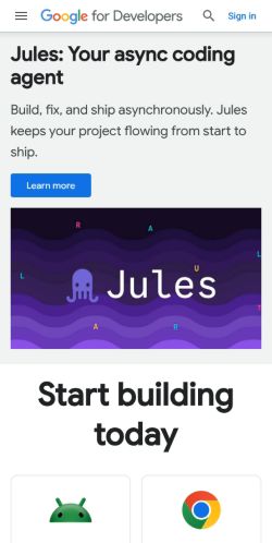 Google Developers preview