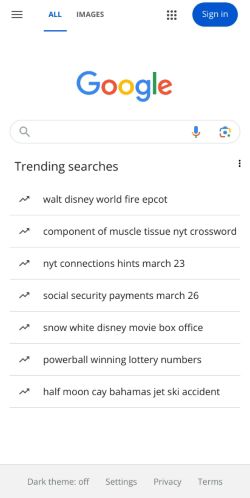 Google Search preview