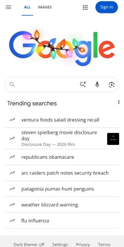 Google Search preview