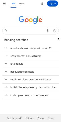 Google Search preview