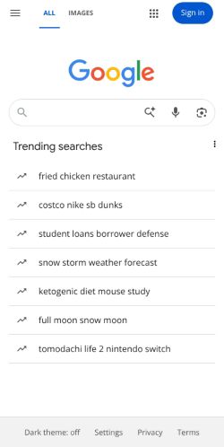 Google Search preview