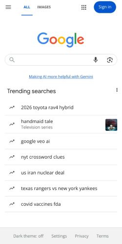 Google Search preview