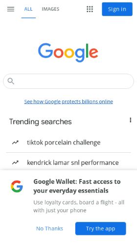 Google Search preview