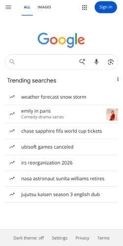 Google Search preview