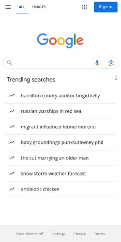 Google Search preview