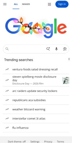 Google Search preview