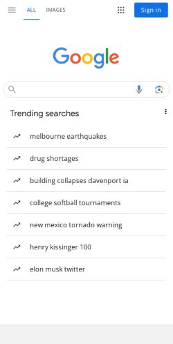 Google Search preview