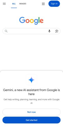 Google Search preview